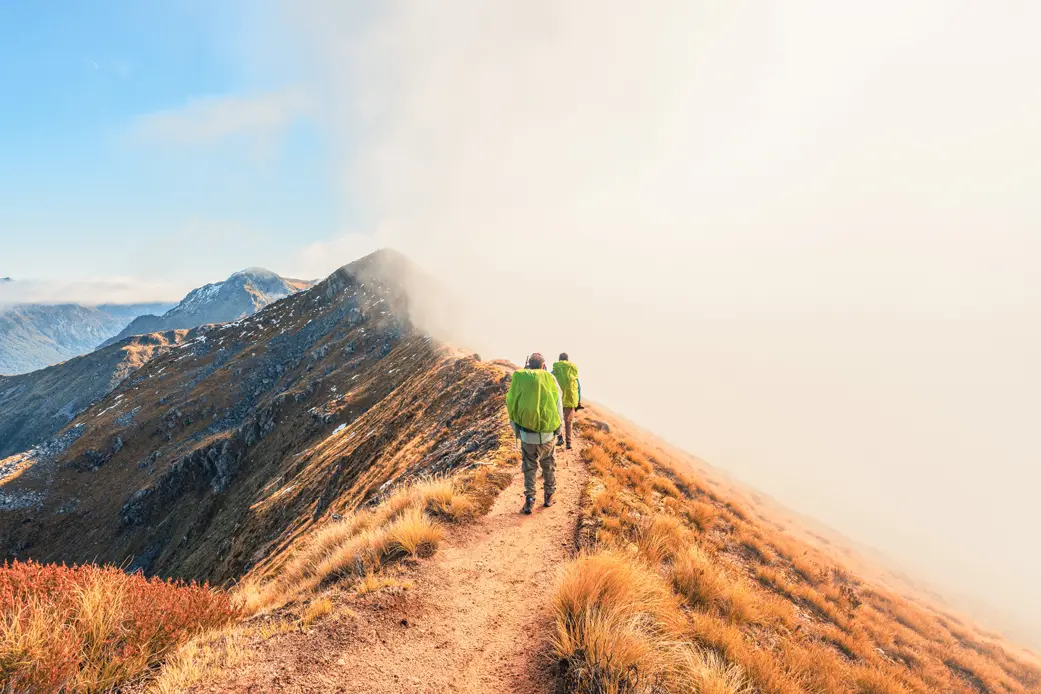 Insurance, Risk & Wealth Protection